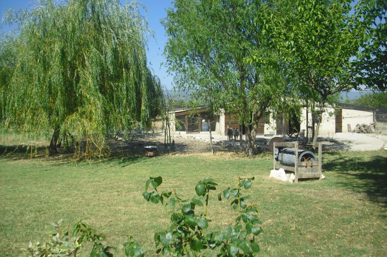 Lou Mas Li Pitchoun "Le Cortassien " Apartamento Gordes Exterior foto