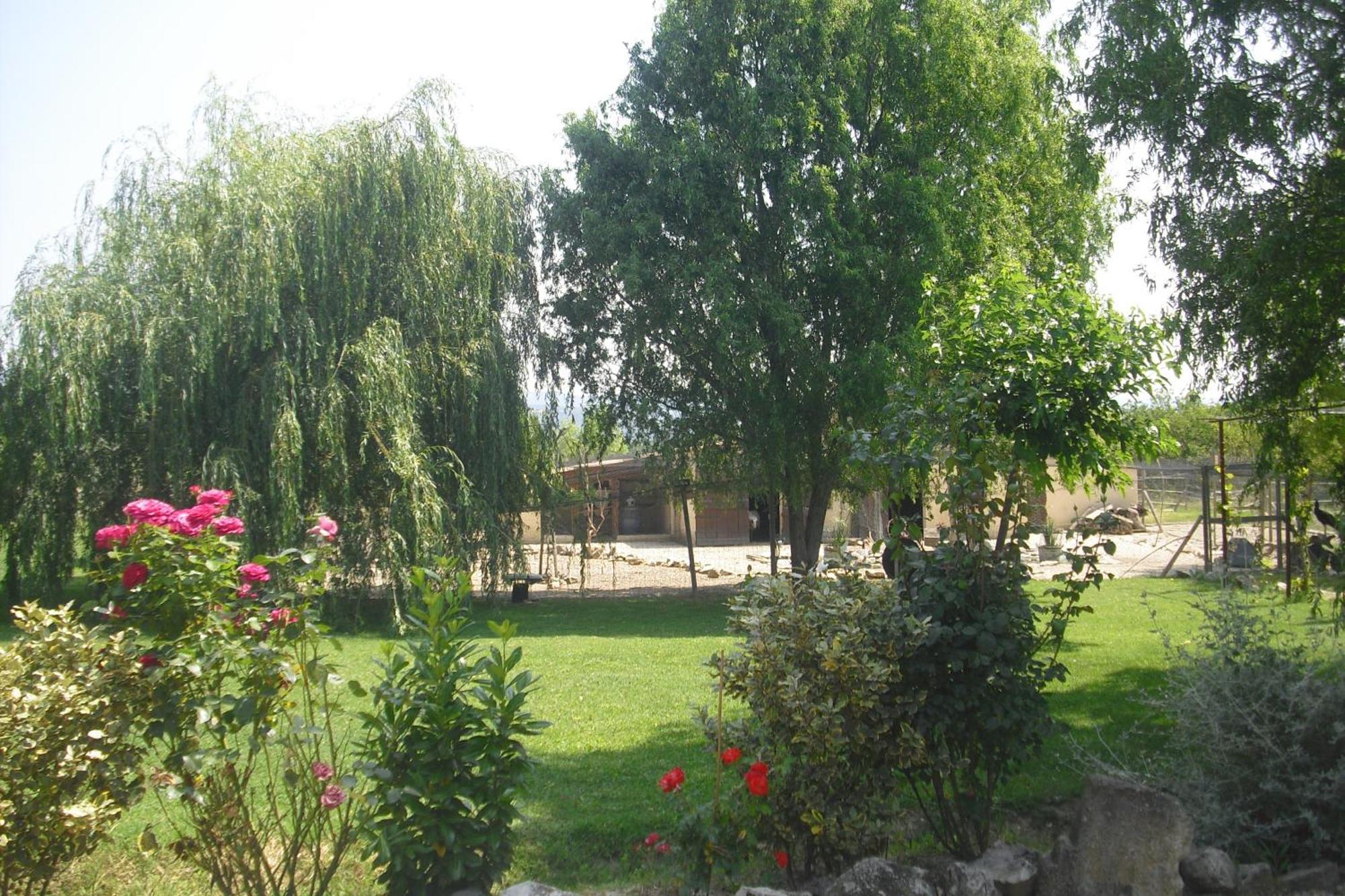 Lou Mas Li Pitchoun "Le Cortassien " Apartamento Gordes Exterior foto